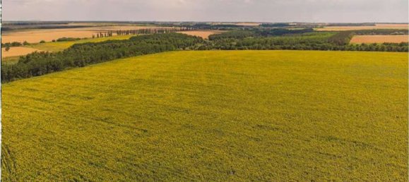 88556m² Land in Medesano, Italy No. 298851 13