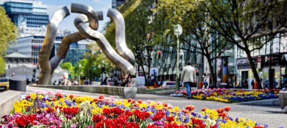 Коммерческая недвижимость 49м² в Шарлоттенбург, Германия № 85127 14