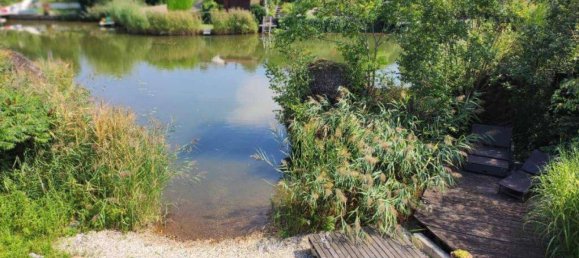 2 rooms House in Steinbrunn, Austria No. 197937 2