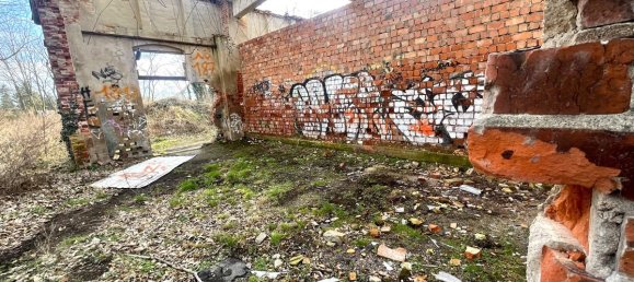 4557m² Cafe / restaurant in Anhalt-Bitterfeld, Germany No. 243799 16