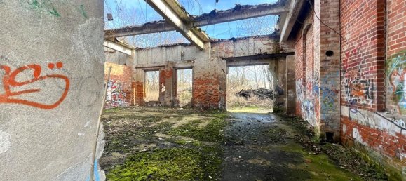 4557m² Cafe / restaurant in Anhalt-Bitterfeld, Germany No. 243799 13