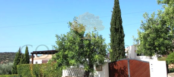 4 bedrooms Villa in Sao Bras de Alportel, Portugal No. 99077 22