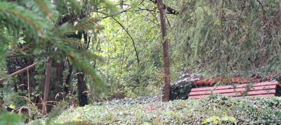 7-salle Maison de ville à Sigmaringen, Germany No. 333810 7