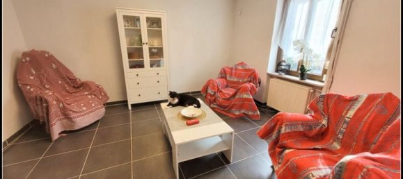 4 chambres Maison de ville à Sarreguemines, France No. 256964 3