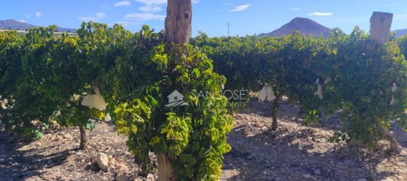 Casa T1 em Monforte del Cid, Spain N.º 100121 7