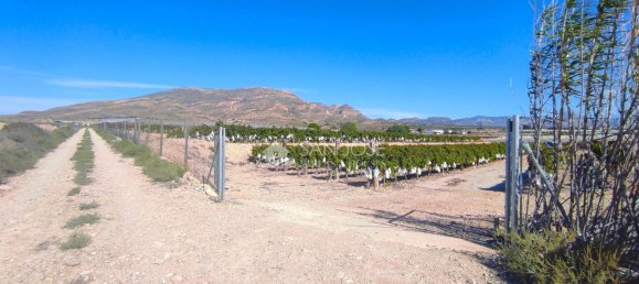 Casa T1 em Monforte del Cid, Spain N.º 100121 17