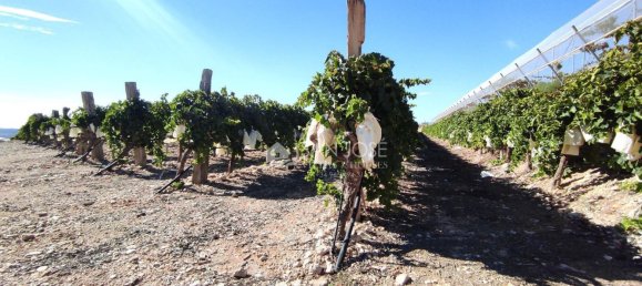 Casa T1 em Monforte del Cid, Spain N.º 100121 5