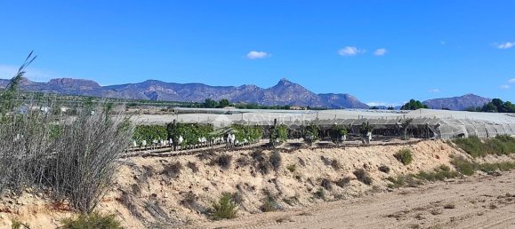 Casa T1 em Monforte del Cid, Spain N.º 100121 18