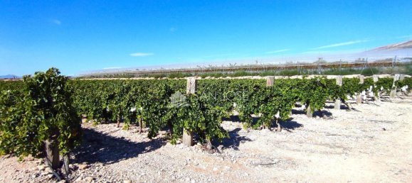 Casa T1 em Monforte del Cid, Spain N.º 100121 4