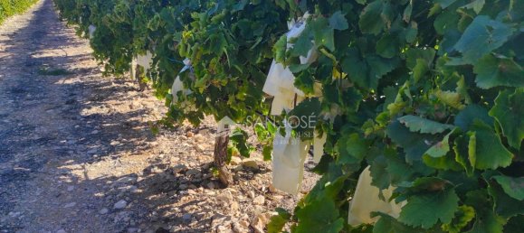 Casa T1 em Monforte del Cid, Spain N.º 100121 8