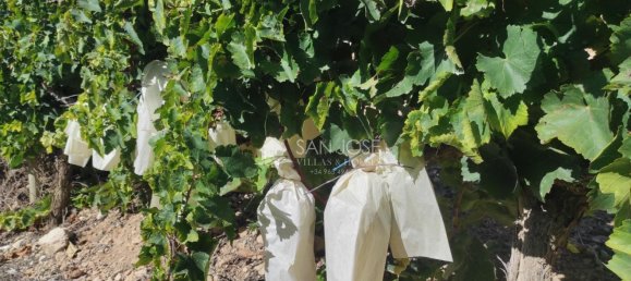 Casa T1 em Monforte del Cid, Spain N.º 100121 6