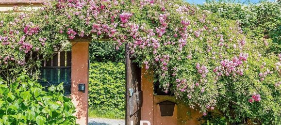 9 غرف نوم منزل في Borgo Ticino, Italy رقم 334968 23