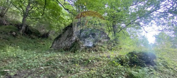 5 rooms House in Gressoney Saint Jean, Italy No. 80143 28