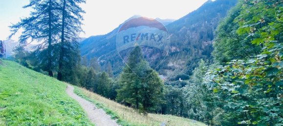 5 rooms House in Gressoney Saint Jean, Italy No. 80143 31