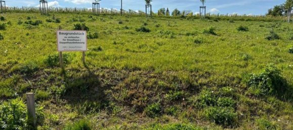 Земельный участок в Майнц-Бинген, Германия № 354745 3