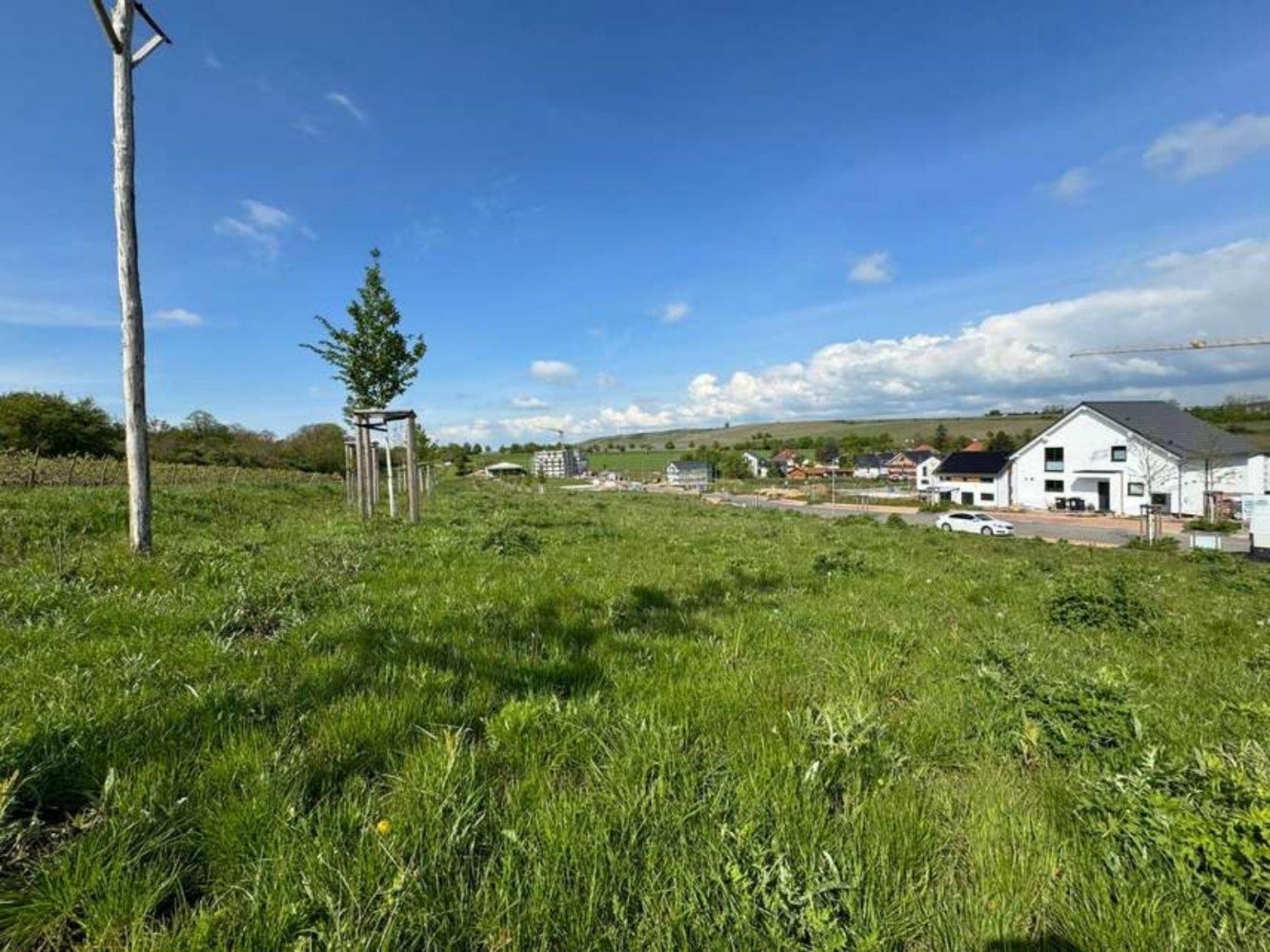 Земельный участок в Майнц-Бинген, Германия № 354745