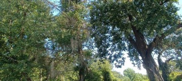 4446m² Land in Haute-Garonne, France No. 284854 2