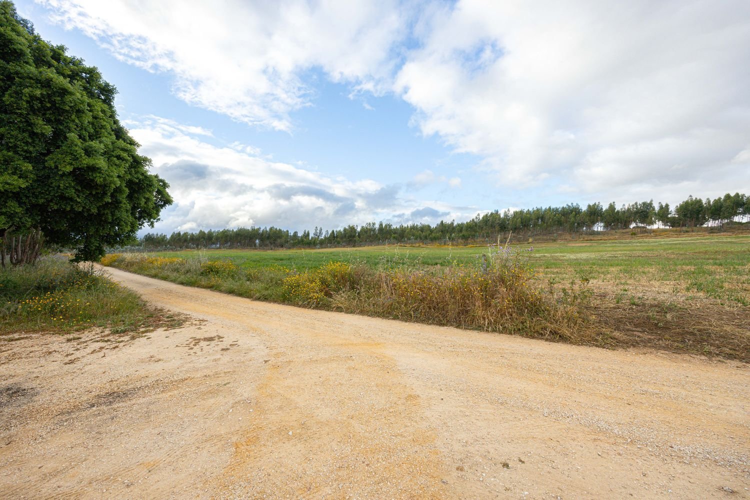 8720m² Land in Alenquer, Portugal No. 88909