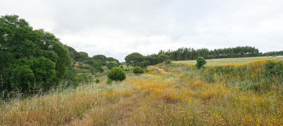 8720m² Land in Alenquer, Portugal No. 88909 4