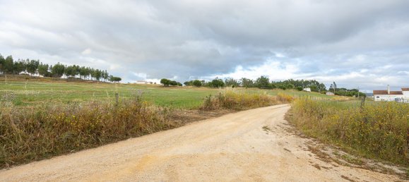 8720m² Land in Alenquer, Portugal No. 88909 6