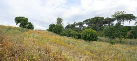 8720m² Land in Alenquer, Portugal No. 88909 3