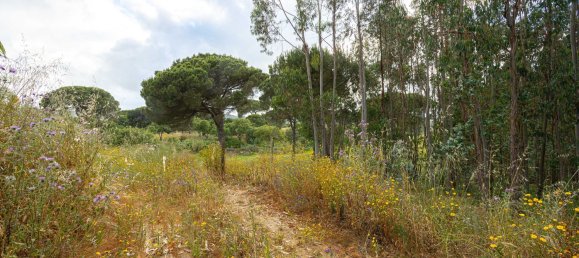 8720m² Land in Alenquer, Portugal No. 88909 5
