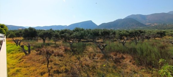  فندق في Agios Nikolaos, Greece 5500متر مربع رقم 3565 2