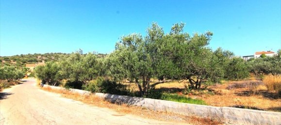  فندق في Agios Nikolaos, Greece 5500متر مربع رقم 3565 3