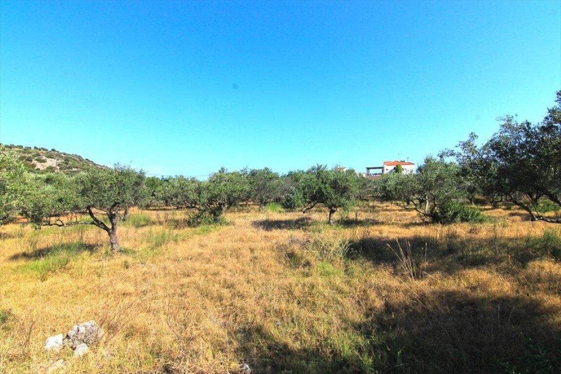 Отель, гостиница 5500м² в Айос-Николаос, Ласитион, Крит, Греция № 3565