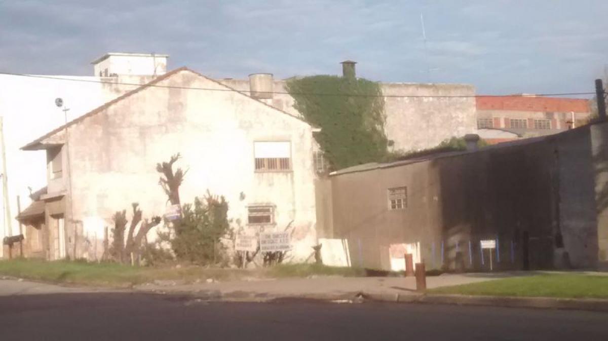 4 bedrooms House in Mar del Plata, Argentina No. 101712