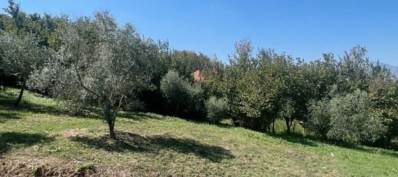 Квартира с 6 спальнями в Атрипальда, Италия № 75577 6