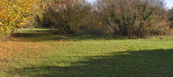 4 chambres Châteaux à Gizeux, France No. 80513 3