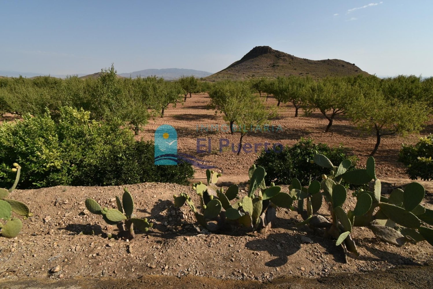 40000m² Land in Mazarron, Spain No. 272325