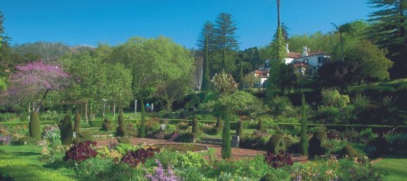 Таунхаус с 3 спальнями в Фуншал, Португалия № 174878 50