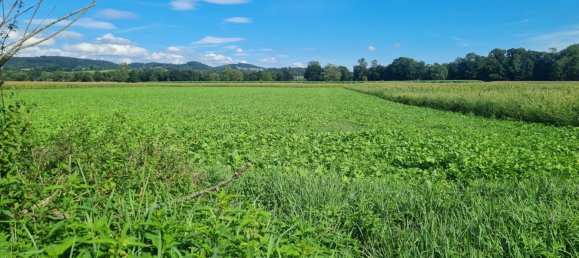 5785m² Land in Arbing, Austria No. 105002 3