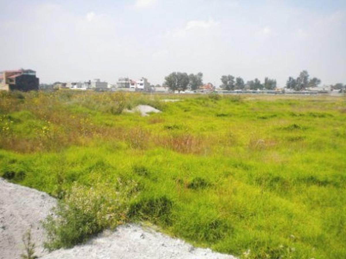 Grundstück in Texcoco de Mora, Mexico, Nr. 202619