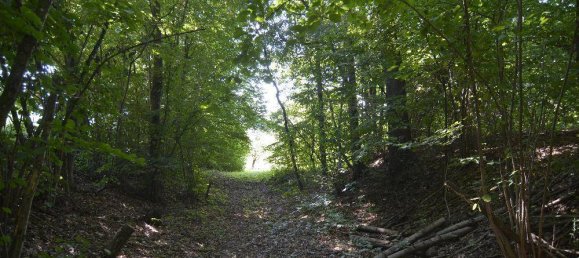 3 Schlafzimmer Haus in Stegersbach, Austria, Nr. 134360 29