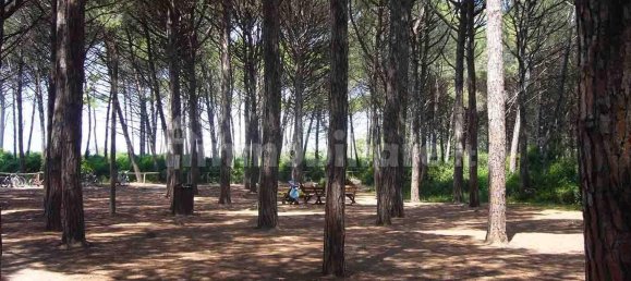 2 bedrooms Apartment in Rosignano Marittimo, Italy No. 48455 12