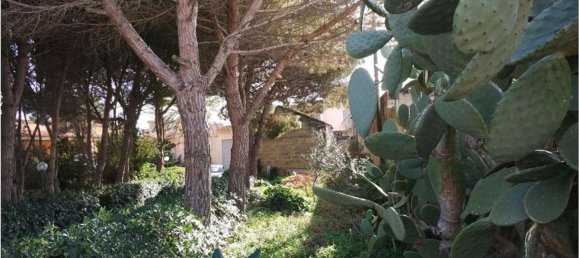 5 rooms House in Marsala, Italy No. 290353 14