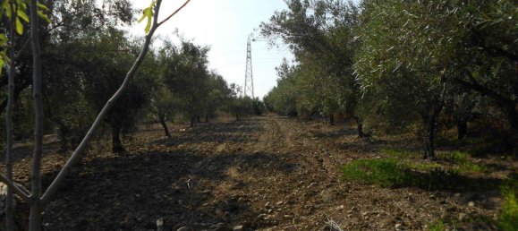 20000m² Land in Motta Sant'Anastasia, Italy No. 83615 4