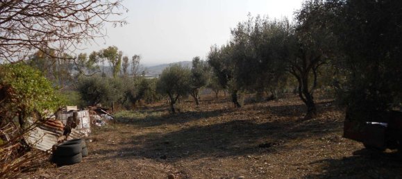 20000m² Land in Motta Sant'Anastasia, Italy No. 83615 3