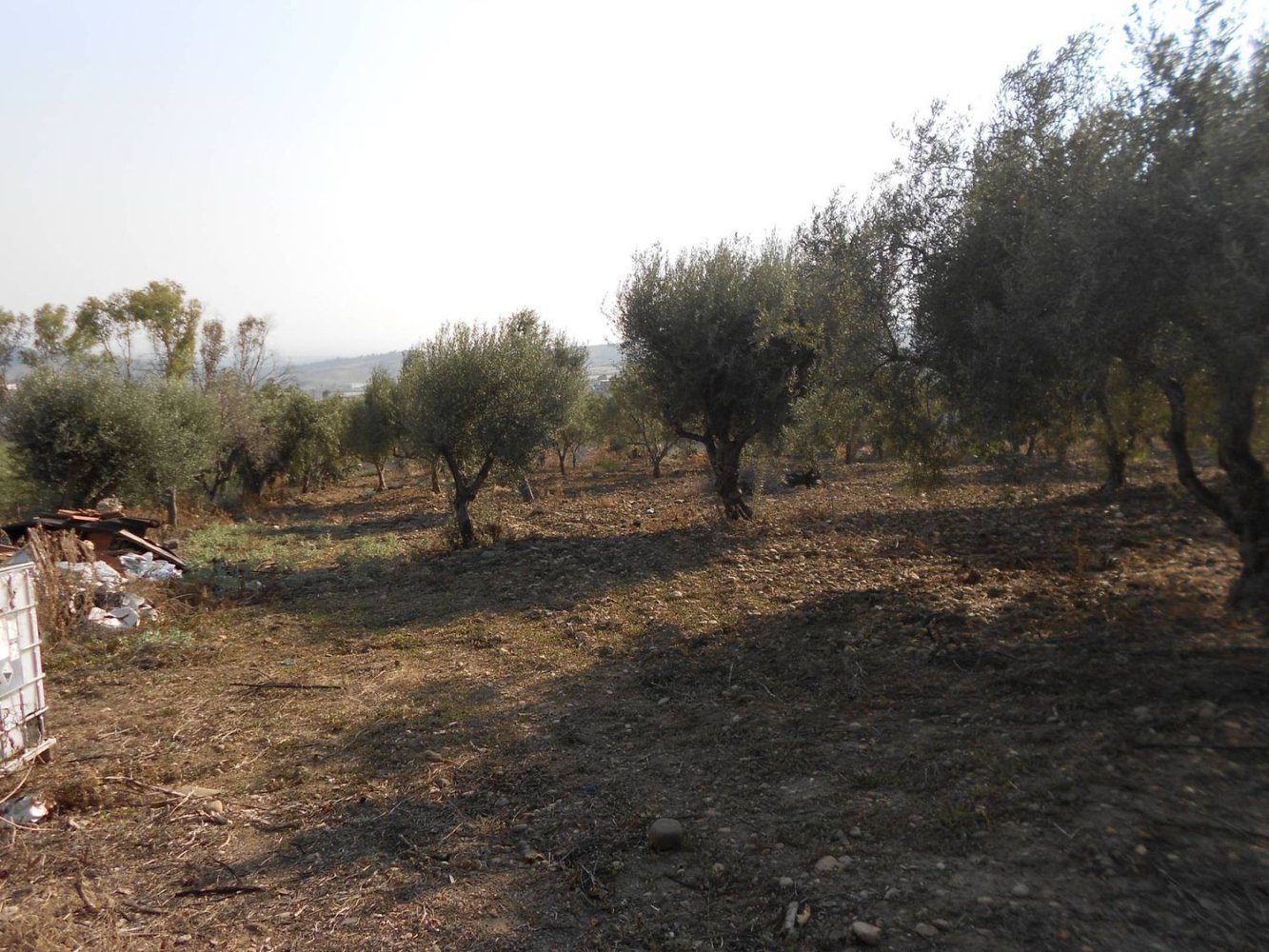 20000m² Land in Motta Sant'Anastasia, Italy No. 83615