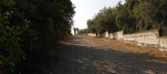 20000m² Land in Motta Sant'Anastasia, Italy No. 83615 2