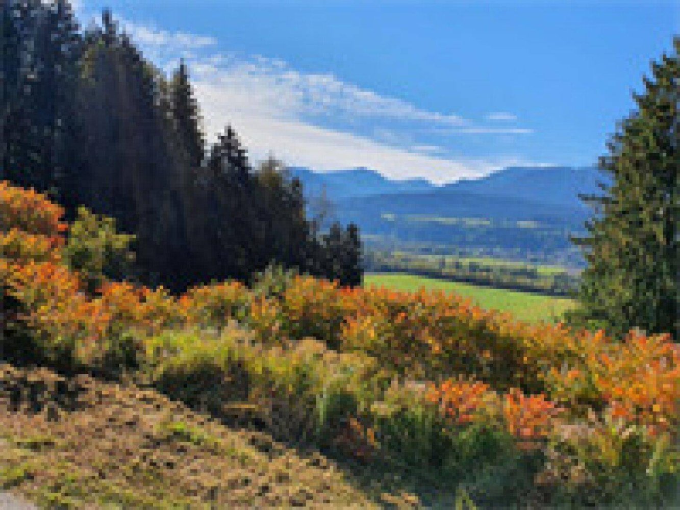  قطعة أرض في Ferndorf, Austria 1300متر مربع رقم 60023