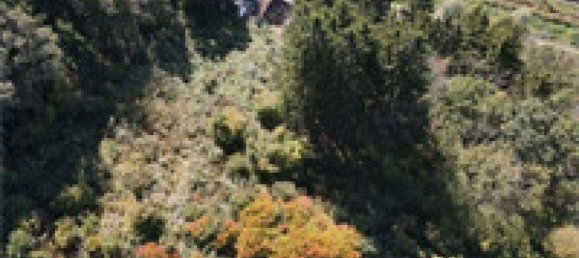  قطعة أرض في Ferndorf, Austria 1300متر مربع رقم 60023 3