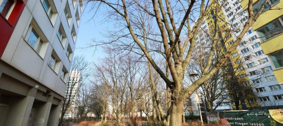 Estudio en Mitte, Germany No. 365435 15