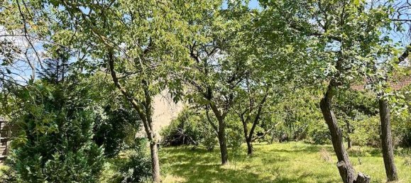 5-Zimmer Haus in Vorpommern-Greifswald, Germany, Nr. 150574 4