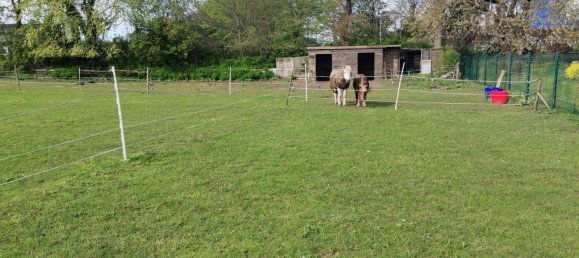 7 rooms Townhouse in Segeberg, Germany No. 266852 16