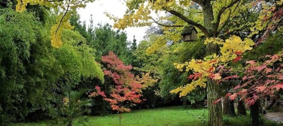 7 rooms Warehouse in Sarzana, Italy No. 124051 2