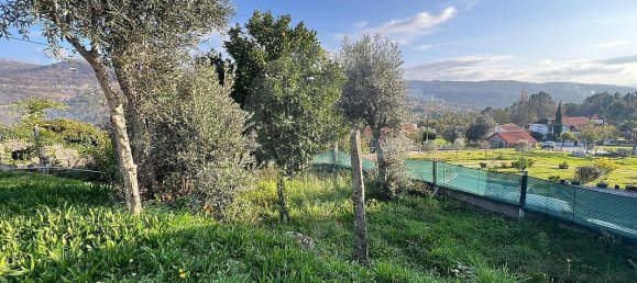 2 bedrooms House in Baiao, Portugal No. 26929 19